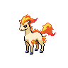 sprite ponyta